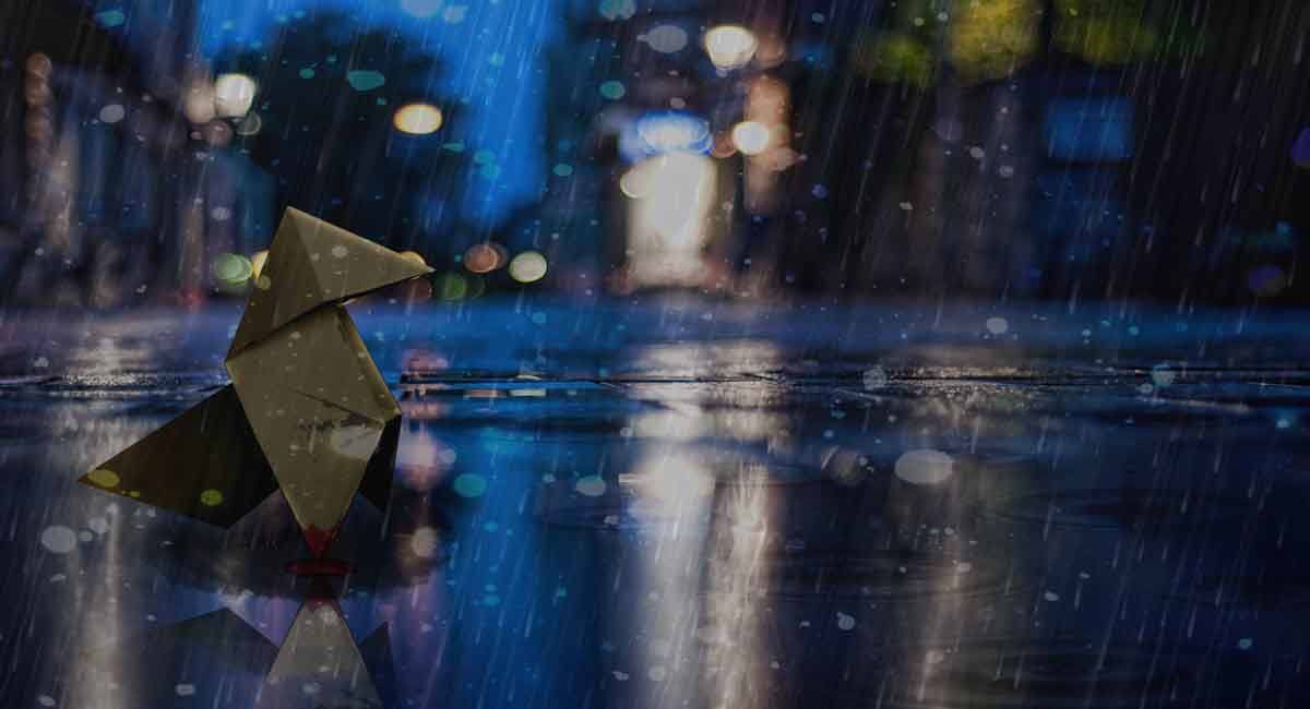 It Wasnâ€™t Supposed to Rain